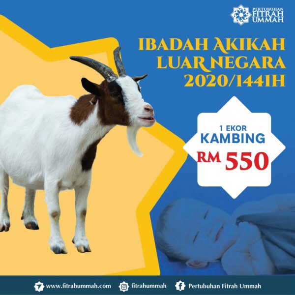 SATU (1) EKOR KAMBING AKIKAH LUAR NEGARA