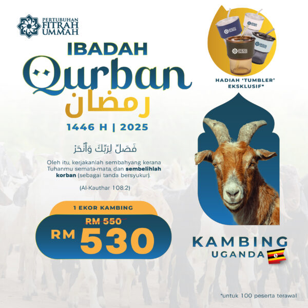 SATU (1) EKOR KAMBING QURBAN - UGANDA (PROMO RAMADAN)