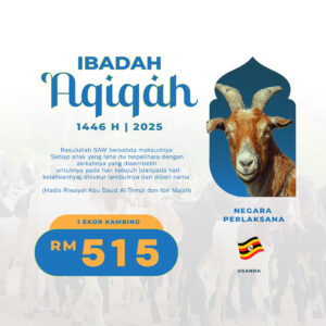 AQIQAH KAMBING AFRIKA