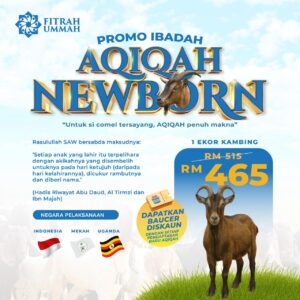 AQIQAH KAMBING UGANDA